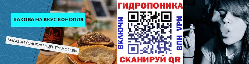 OMG как зайти  Светогорск  Canna-Cookies конопля 