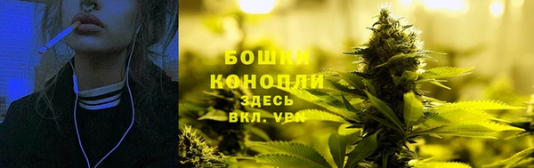 дурь Белоозёрский