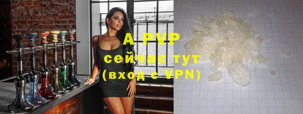 мяу мяу мука Белокуриха