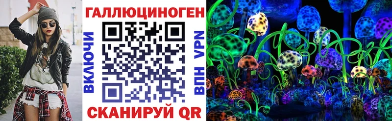 блэк спрут ONION  Светогорск  Псилоцибиновые грибы прущие грибы 